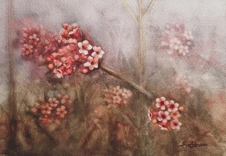 Prva paša za čebele-Brogovita (Akvarel -  20x28) Silvo Zdovc